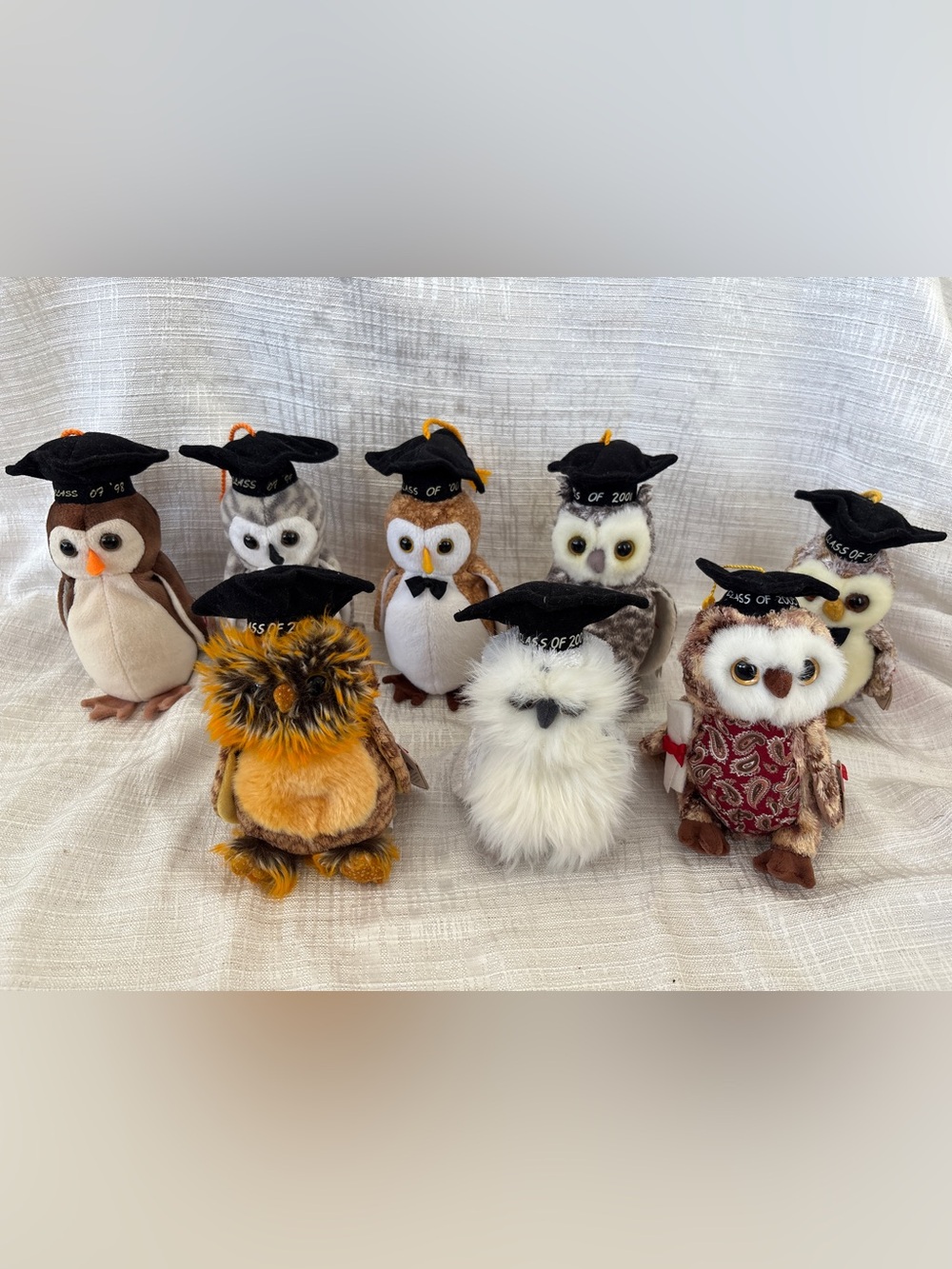 Assorted Plush Graduation Owls - Mixed Colors